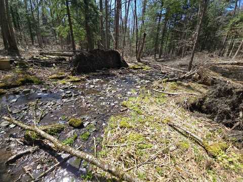 0WP Lingee Rd (Rear), Afton, NY 13730