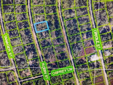 1053 Robin St, LAKE PLACID, FL 33852