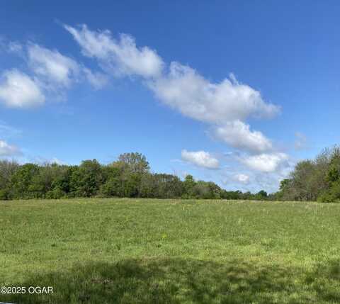 Xxx Teal Drive, Newtonia, MO 64853