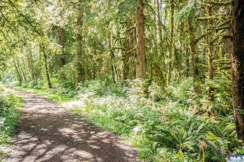Parcel 1 Swamp Road, Sekiu, WA 98381