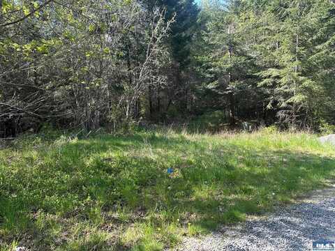 NKA Pristine Lane, Port Angeles, WA 98362