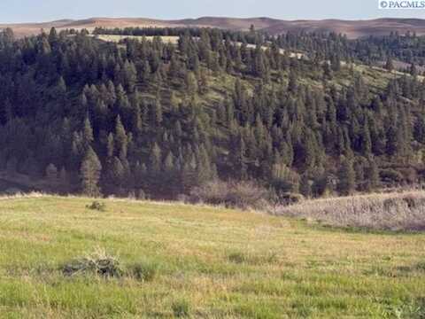 Lot 5 Red Tail Ridge, Colfax, WA 99111