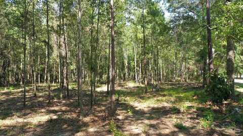Lot 1a Harris St, Atmore, AL 36502