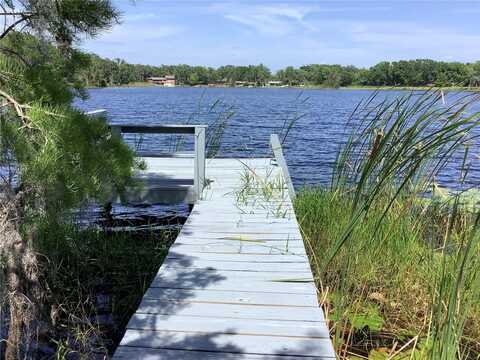 16921 CRAWLEY ROAD, ODESSA, FL 33556