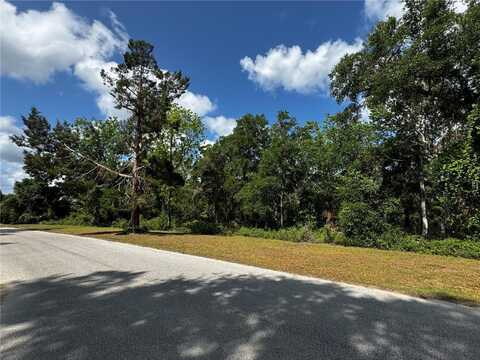 1103 SAVANNAH OAKS DRIVE, BROOKSVILLE, FL 34602