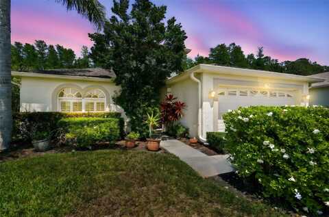 1119 DUSTAN PLACE, TRINITY, FL 34655