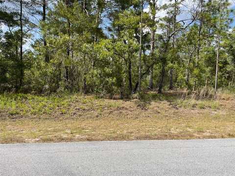 Lots 29,30 SW ANCHOR BOULEVARD, DUNNELLON, FL 34431