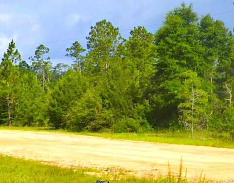 CLEVELAND DRIVE, ALFORD, FL 32420