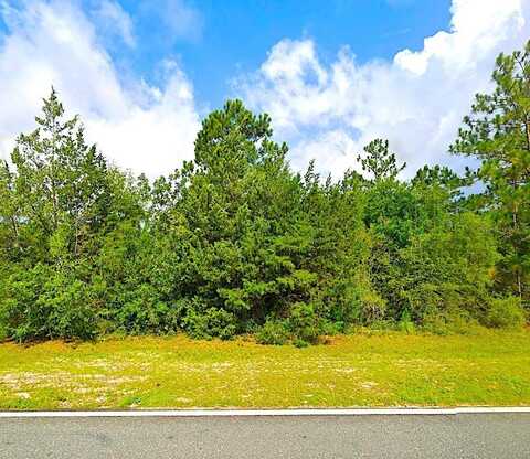 FAIRVIEW ROAD, ALFORD, FL 32420