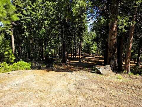 614 E Burnt Cedar Road, Lake Almanor, CA 96137