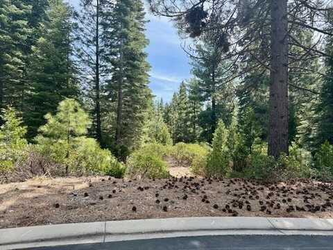 11 Silver Pine Road, Lake Almanor, CA 96137