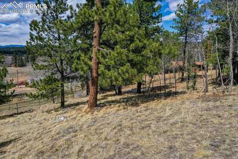 870 WILL SCARLET Drive, Divide, CO 80814
