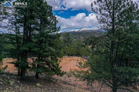102 Blue Bell Circle, Cripple Creek, CO 80813