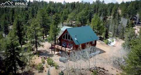 876 Obsidian Drive, Florissant, CO 80816