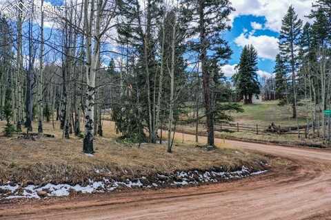 90 MAID MARIAN Drive, Divide, CO 80814