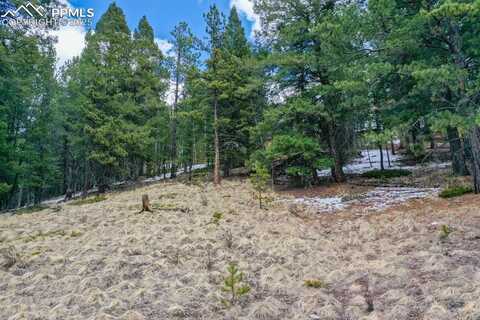 Tbd Valley Road, Divide, CO 80814