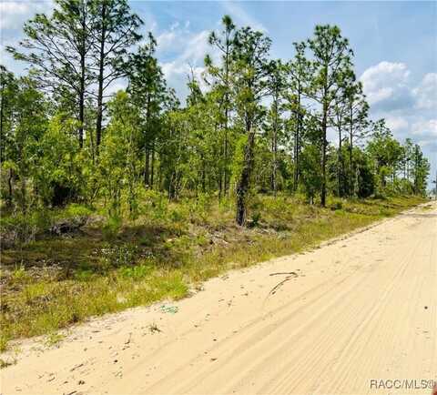 0000 NE 132 Terrace, Williston, FL 32696