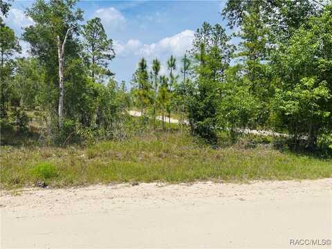 0000 NE 132 Terrace, Williston, FL 32696