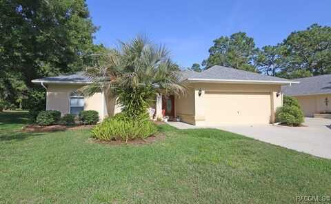 3980 N Buckhorn Drive, Beverly Hills, FL 34465