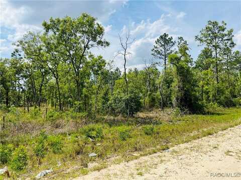 0000 NE 132 Terrace, Williston, FL 32696