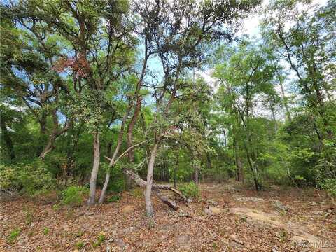 9017 N Ruby Way, Dunnellon, FL 34434