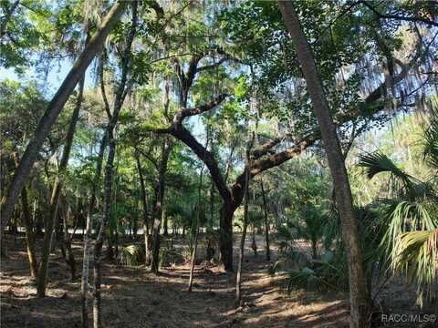 12397 W Edwards Court, Inglis, FL 34449