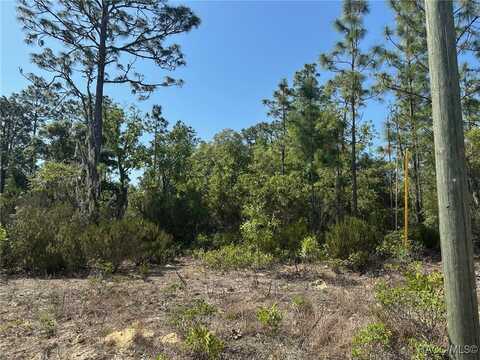2806 W Arbutus Drive, Citrus Springs, FL 34433