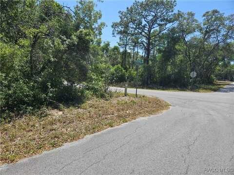 3026 E Michael Street, Inverness, FL 34453
