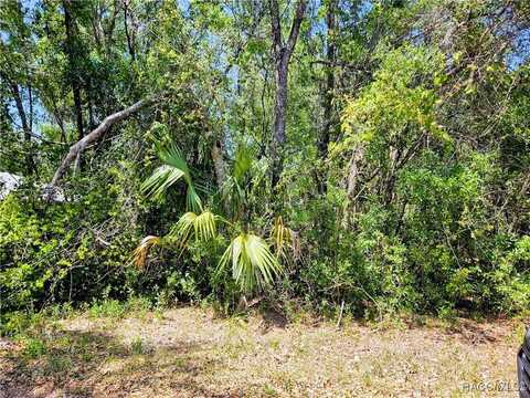 4043 E Dano Street, Inverness, FL 34453