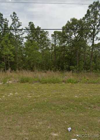 2144 W Citrus Springs Boulevard, Citrus Springs, FL 34434