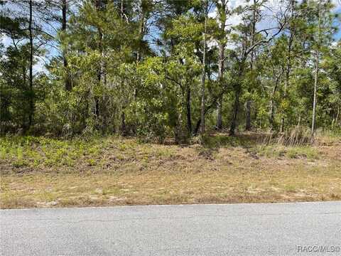 Lot 29,30 SW Anchor Boulevard, Dunnellon, FL 34431