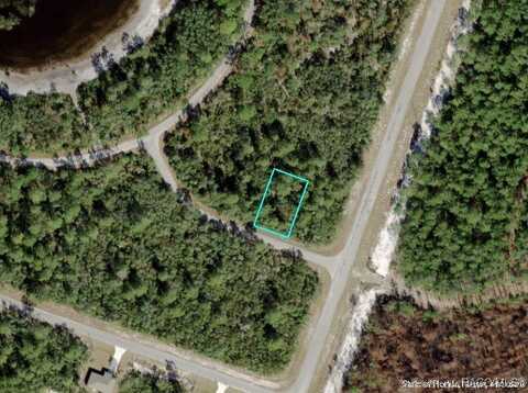 Tbd Fisher Loop Run, Ocklawaha, FL 32179