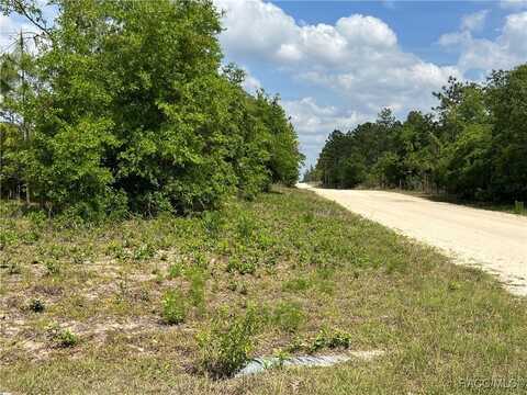 0000 NE 131 Terrace, Williston, FL 32696