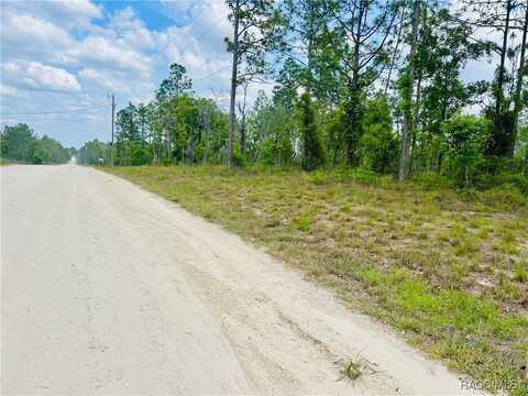 0000 NE 132 Terrace, Williston, FL 32696