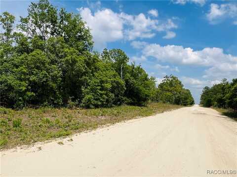 0000 NE 132 Terrace, Williston, FL 32696