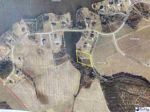 2517 Allen Lake Circle, Dillon, SC 29536