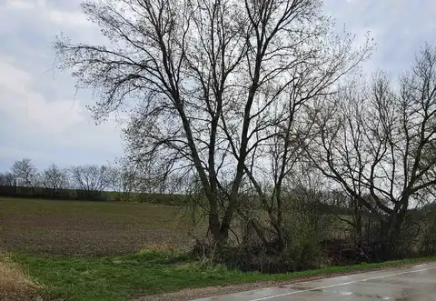 JOHN Street, MAYVILLE, WI 53050