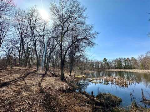 Lot 16,1.03+/- Acres 295th Street, Holcombe, WI 54745