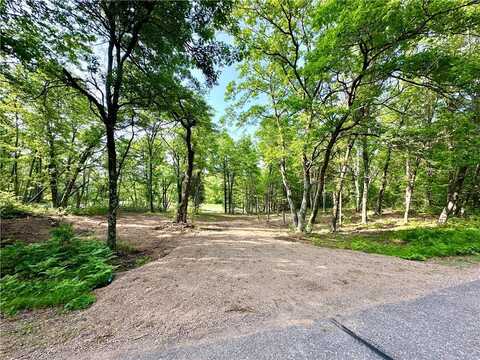 Lot 16,1.03+/- Acres 295th Street, Holcombe, WI 54745