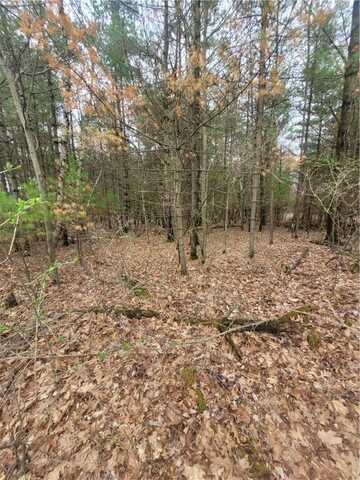 N1258 Owen Avenue, Neillsville, WI 54456