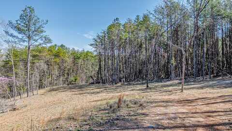 2100 Cottonport Ridge Road Road, Decatur, TN 37322