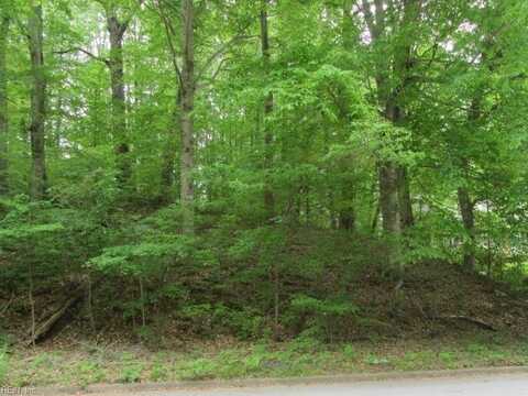 Lots London Bridge (12 & 13A) Drive, Danville, VA 24543
