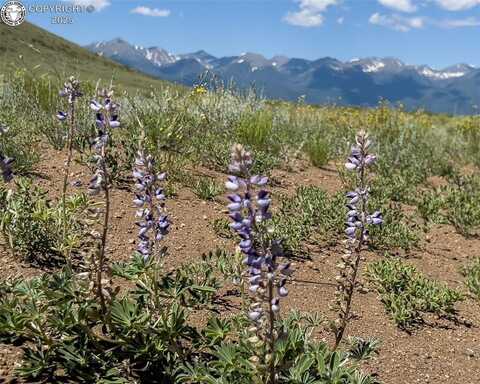 Tbd Lot 33 County Road 251, Westcliffe, CO 81252