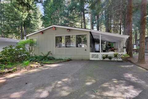 56640 McKenzie HWY, McKenzie Bridge, OR 97413