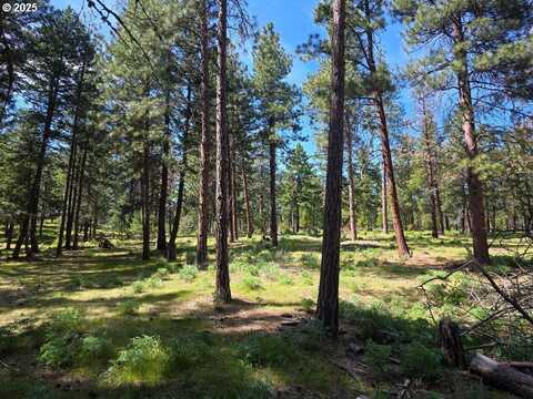 Hwy 216, Maupin, OR 97037