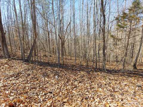 LOT 9 Horseshoe Bend RD, Goodview, VA 24095