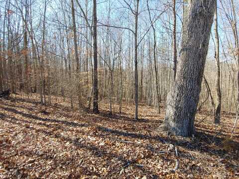 0 Horseshoe Bend RD, Goodview, VA 24095