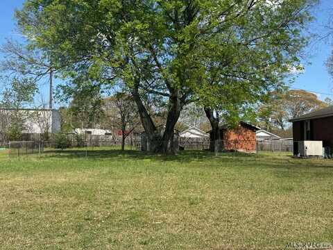 Lot 4 Clinton Street, Roanoke Rapids, NC 27870