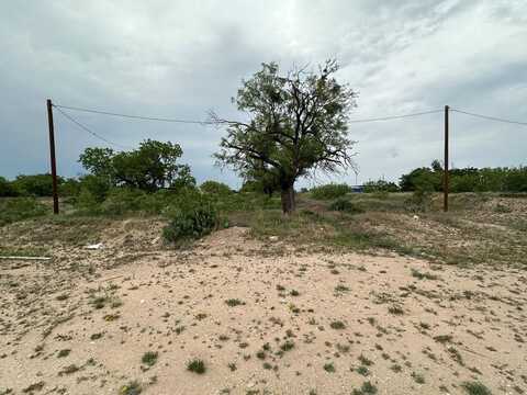 1310 Veck St, San Angelo, TX 76903