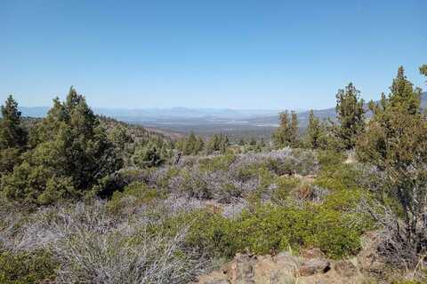 114 acres Hwy 97, Weed, CA 96094